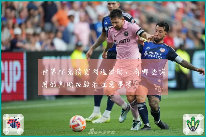 世界杯竞猜官网选择时，有哪些实用的判断经验和注意事项？