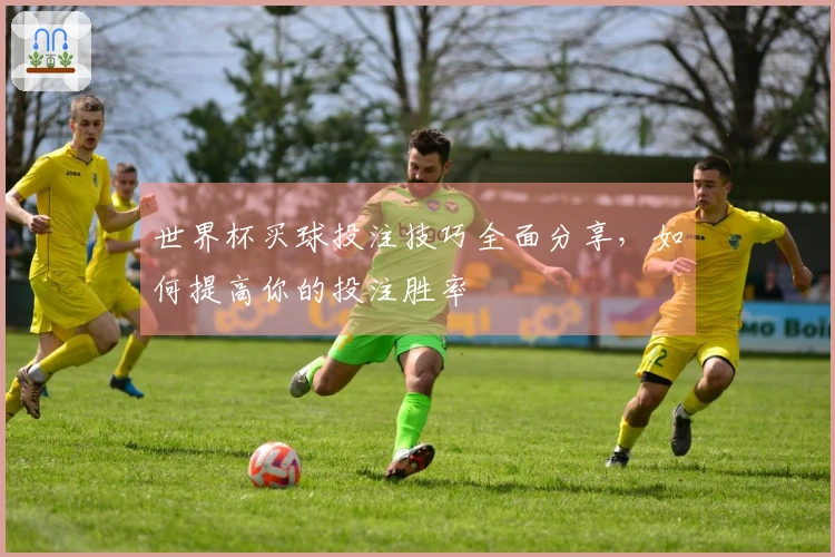 世界杯买球投注技巧全面分享，如何提高你的投注胜率