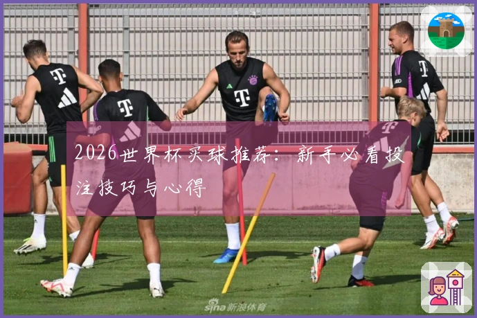 2026世界杯买球推荐：新手必看投注技巧与心得
