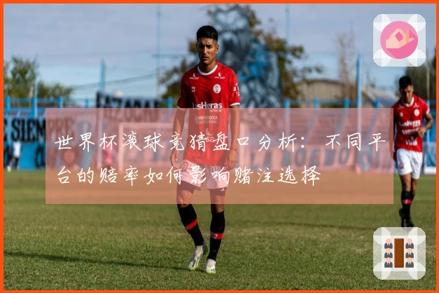 世界杯滚球竞猜盘口分析：不同平台的赔率如何影响赌注选择