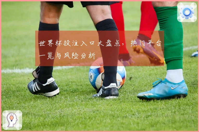 世界杯投注入口大盘点，热门平台一览与风险分析