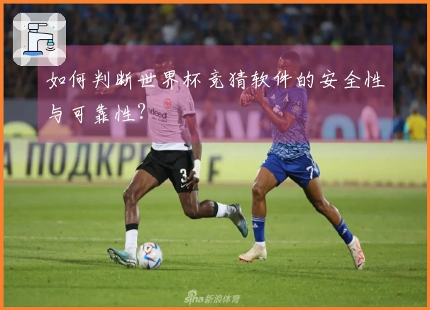 如何判断世界杯竞猜软件的安全性与可靠性？