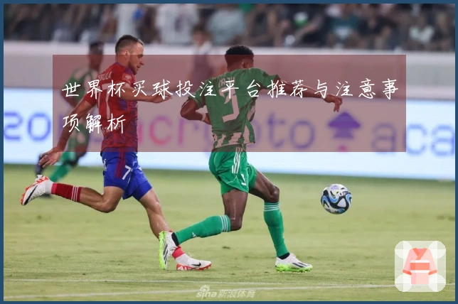 世界杯买球投注平台推荐与注意事项解析