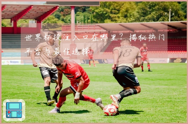 世界杯投注入口在哪里？揭秘热门平台与最佳选择
