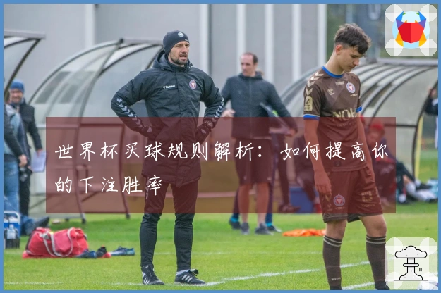 世界杯买球规则解析：如何提高你的下注胜率