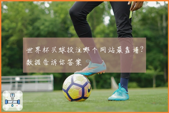 世界杯买球投注哪个网站最靠谱？数据告诉你答案