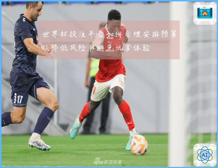 世界杯投注平台如何合理安排预算以降低风险和避免坑爹体验