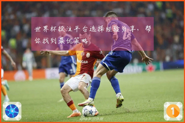 世界杯投注平台选择经验分享，帮你找到最优策略
