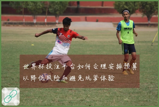 世界杯投注平台如何合理安排预算以降低风险和避免坑爹体验