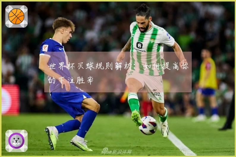 世界杯买球规则解析：如何提高你的下注胜率