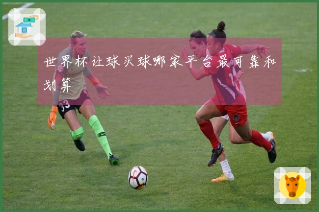 世界杯让球买球哪家平台最可靠和划算
