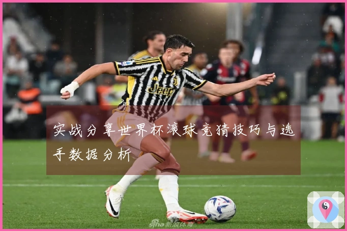 实战分享世界杯滚球竞猜技巧与选手数据分析