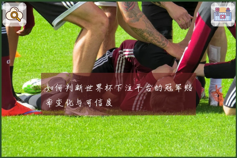 如何判断世界杯下注平台的冠军赔率变化与可信度