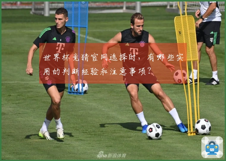 世界杯竞猜官网选择时，有哪些实用的判断经验和注意事项？