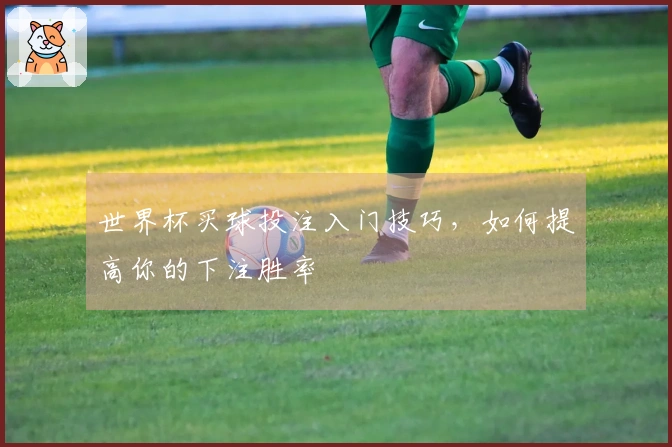世界杯买球投注入门技巧，如何提高你的下注胜率
