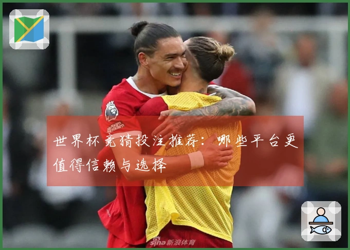 世界杯竞猜投注推荐：哪些平台更值得信赖与选择