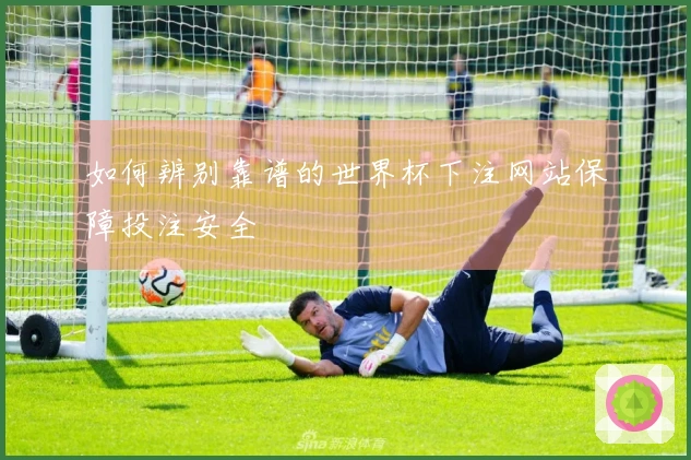 如何辨别靠谱的世界杯下注网站保障投注安全