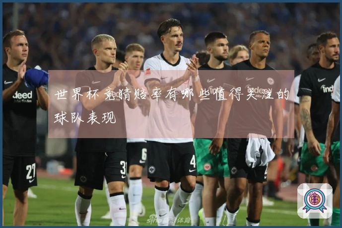 世界杯竞猜赔率有哪些值得关注的球队表现