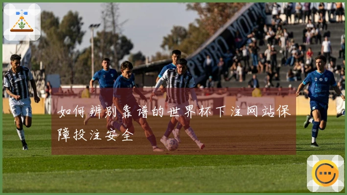 如何辨别靠谱的世界杯下注网站保障投注安全