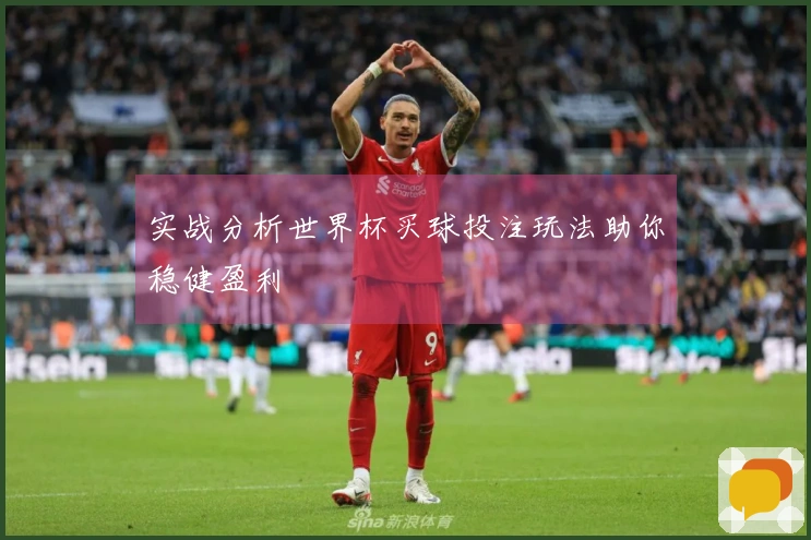 实战分析世界杯买球投注玩法助你稳健盈利